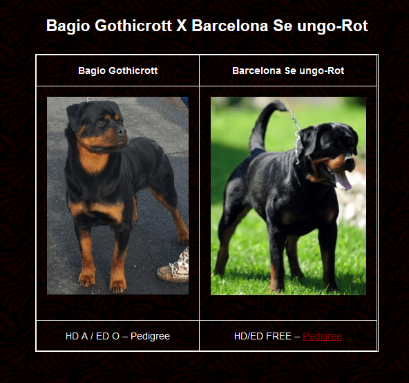 Bagio Barcelona