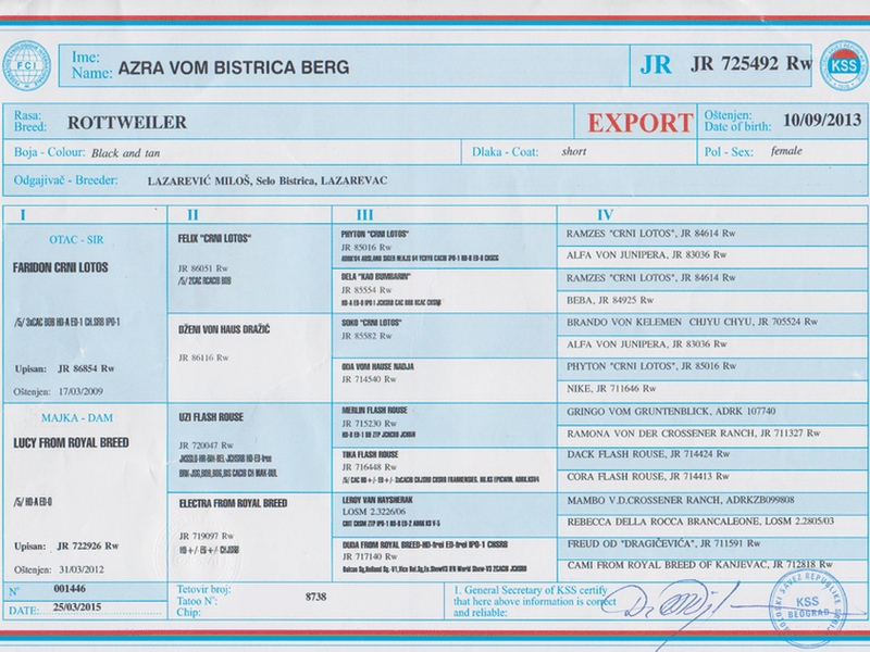 Azra vom Bistrica Berg Pedigree