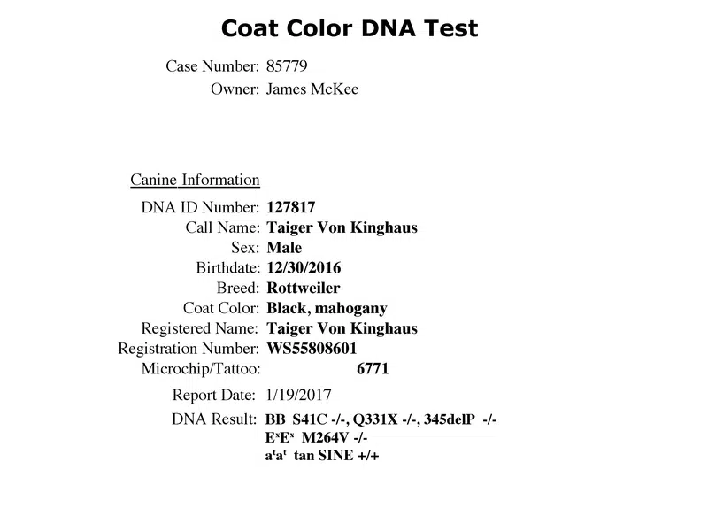 Taiger Vom Kinghaus Coat-Color-DNA-Test