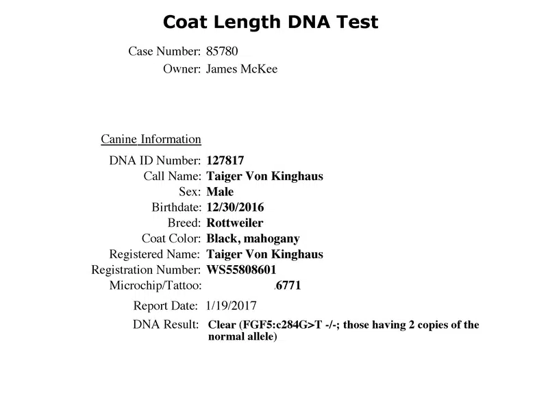 Taiger Vom Kinghaus Coat-Length-DNA-Test