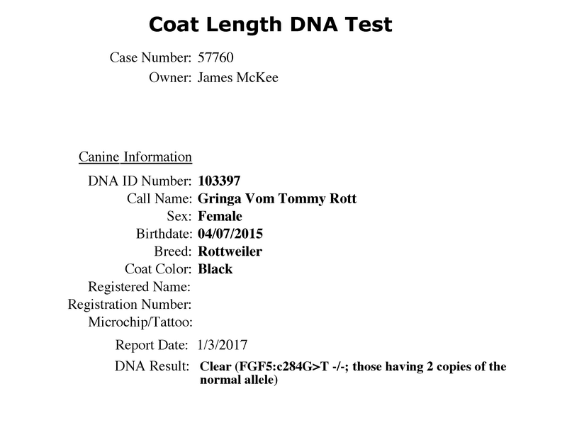 Gringa Vom Tommy Rott Longcoat Testing