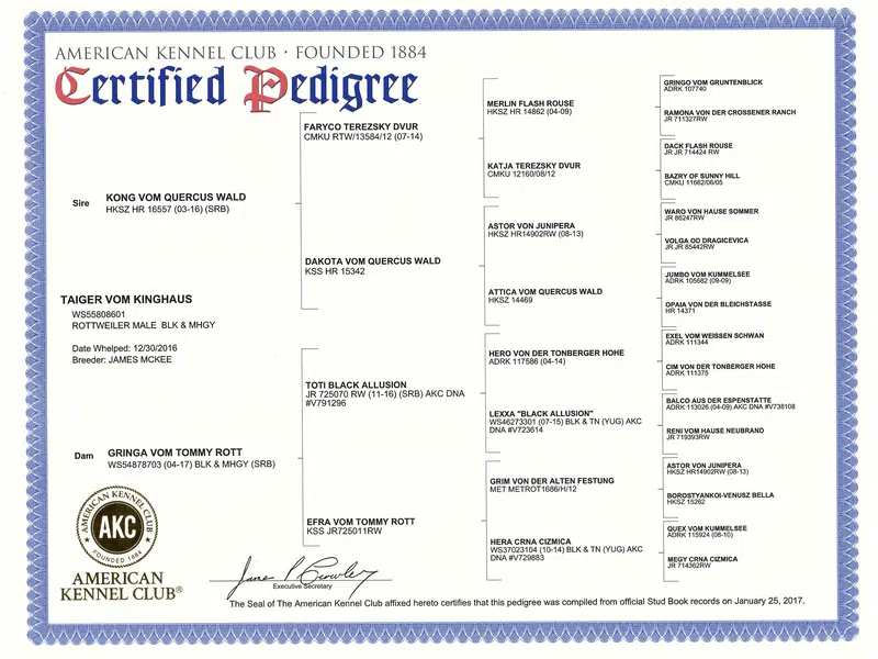 Taiger Vom Kinghaus Pedigree