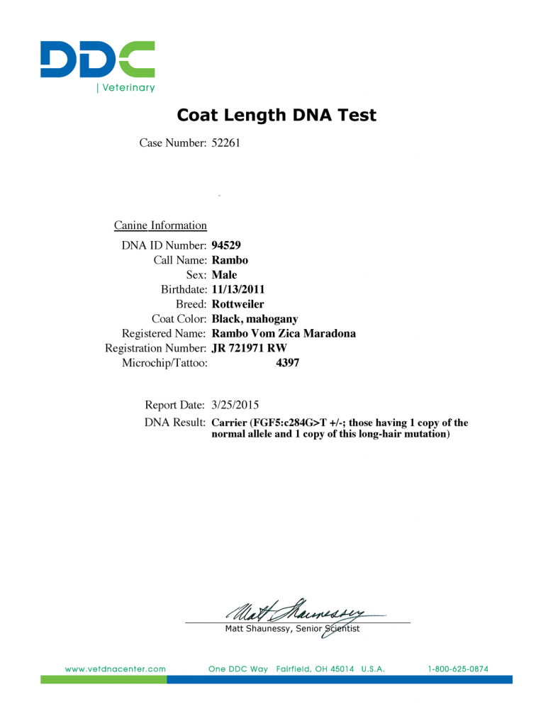 Rambo Vom Zica Maradona Coat Length Testing