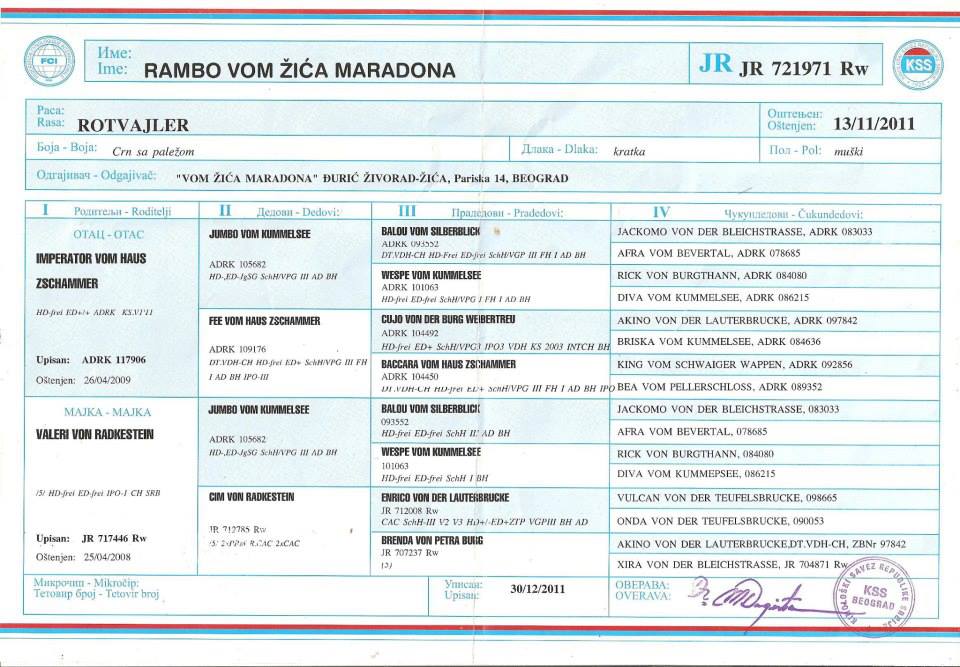 CH. Rambo Vom Zica Maradona Pedigree