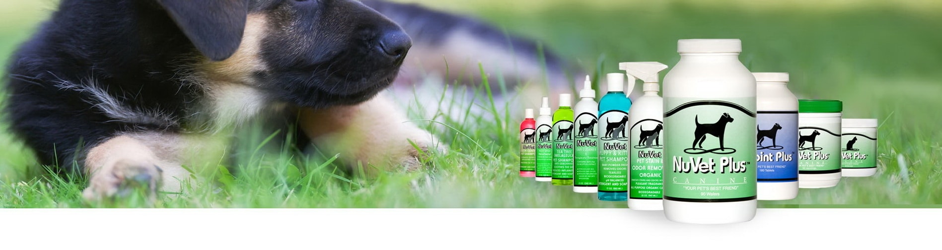 Supplements for Rottweilers King Rottweilers