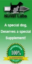 nuvet-labs-dog-supplement.jpg