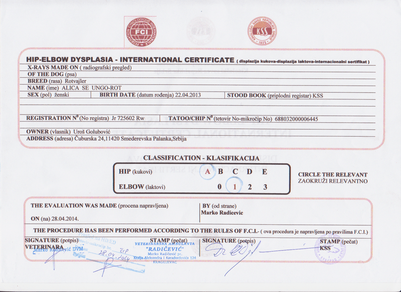 Alica Se Ungo-Rot Hip Testing