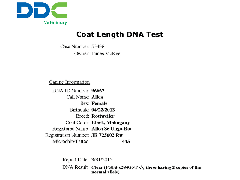 Alica Se Ungo-Rot Longcoat Testing