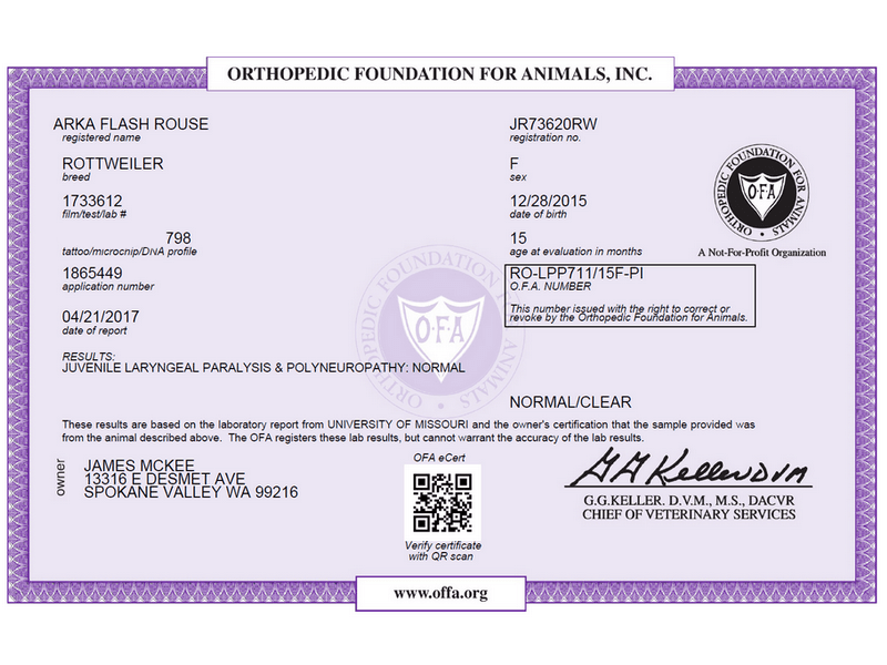 Arka Flash Rouse JLPP Testing