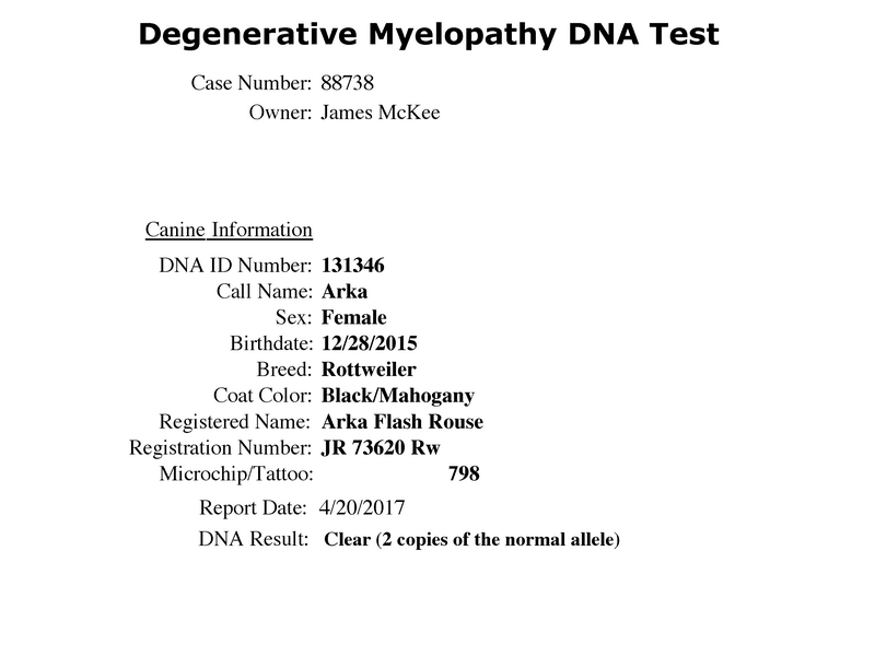 Arka Flash Rouse Degenerative-Myelopathy