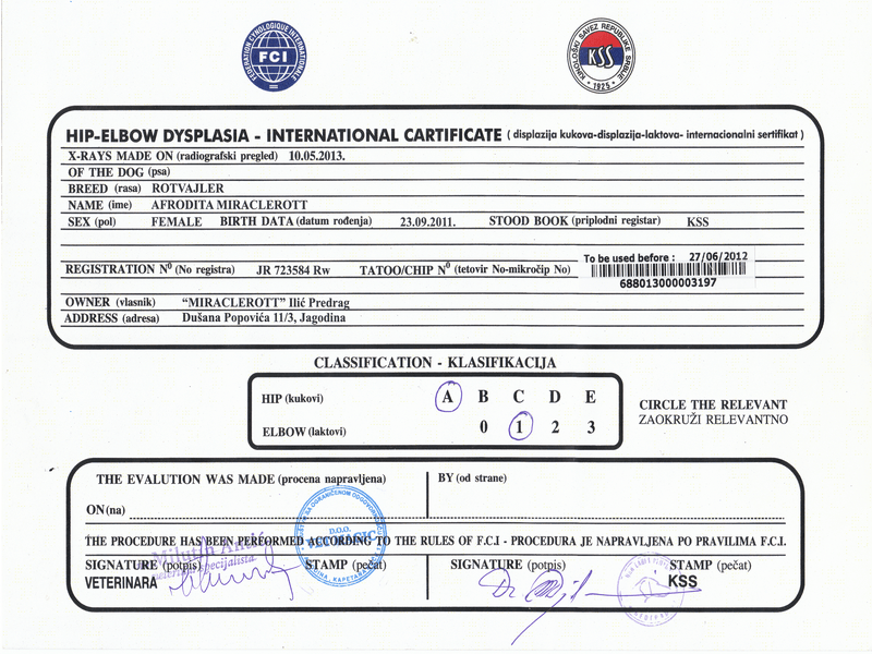 Afrodita Miracle Rott Health Cert