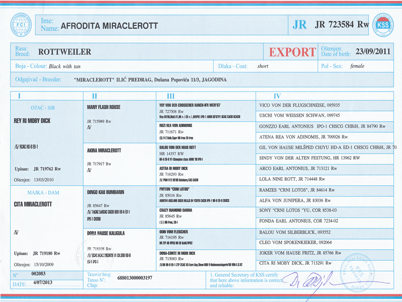 Afrodita Miracle Rott Pedigree