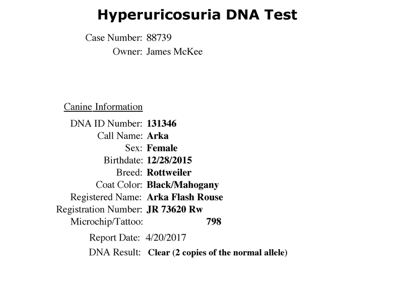 Arka Flash Rouse Hyperuricosuria-DNA