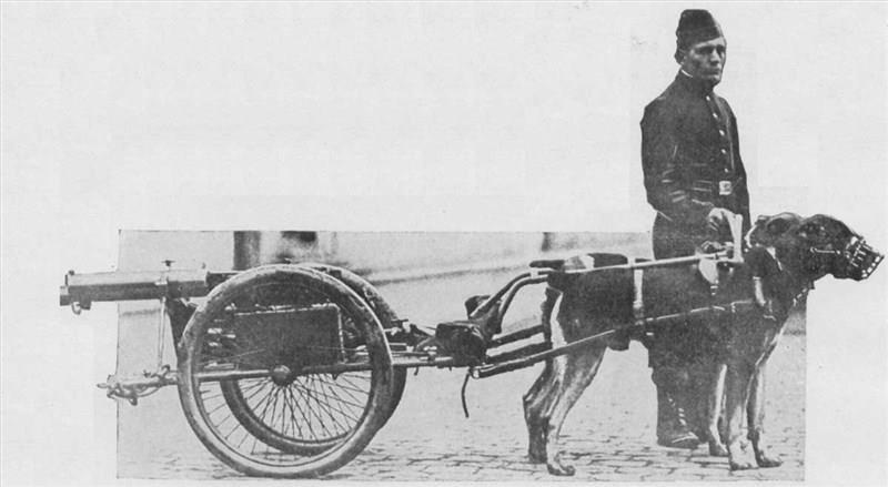 Early History Rottweiler World War I