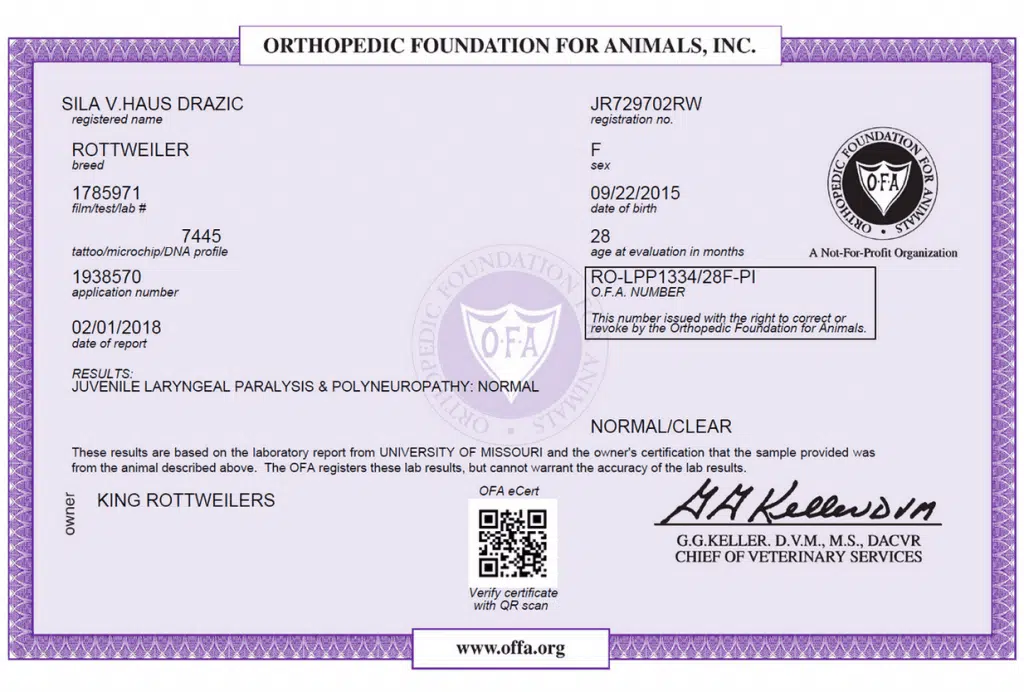 SILA V.HAUS DRAZIC JLPP