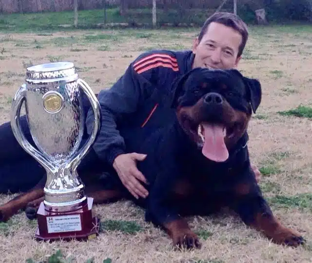 Champion TK New Yorker Rottweiler