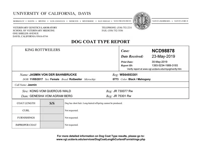 Jasmin Cost Length Clear