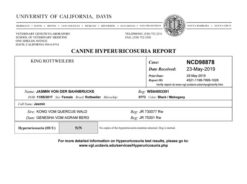 Jasmin Hyperuricosuria Clear