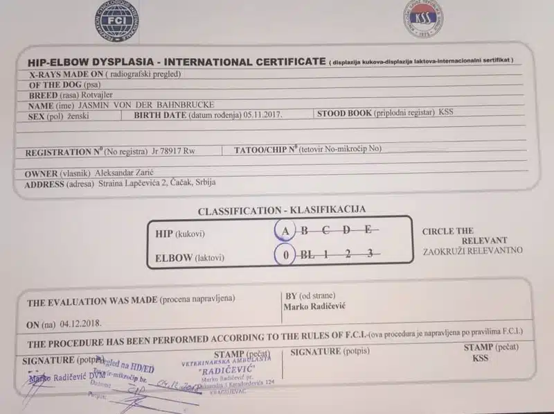 Jasmin Von Der Bahnbrucke