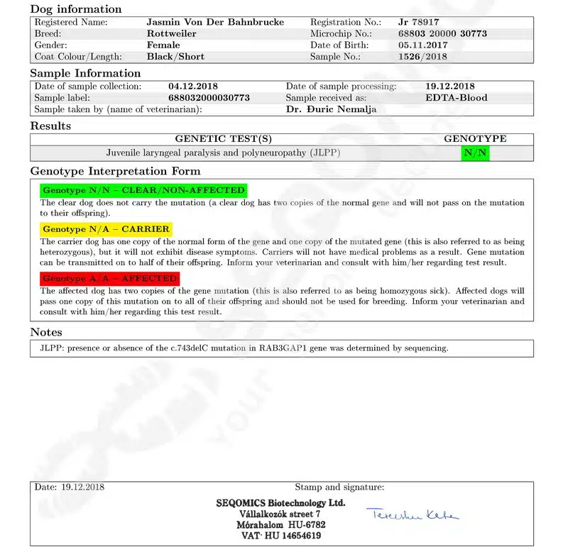 Jasmin von der Bahnbrucke JLPP Results