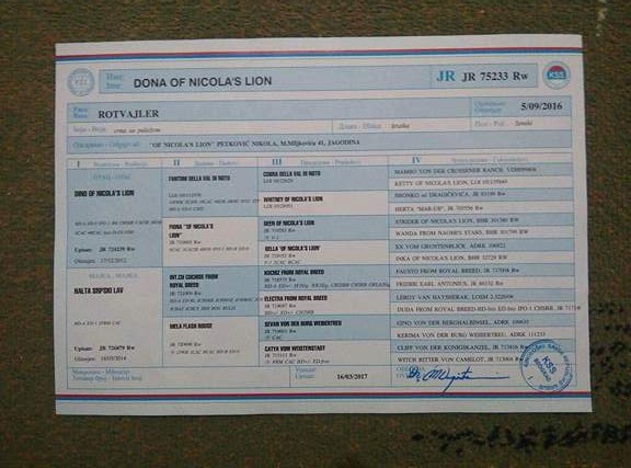 Dona of Nicolas Lion Official Pedigree