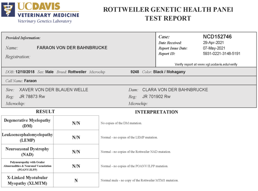 Faraon Rottweiler Health testing Web