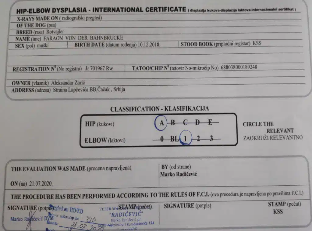 Faraon Von Der Bahnbrucke Hips Elbows