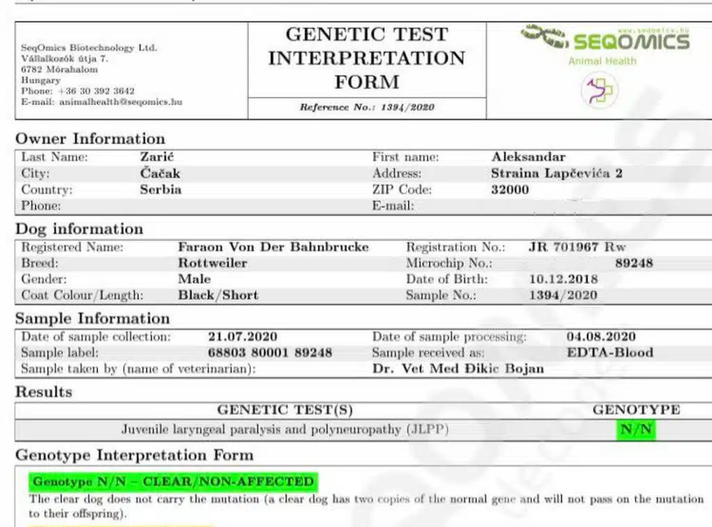Faraon Von Der Bahnbrucke JLPP