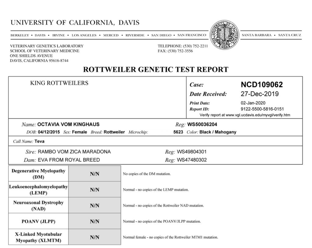 Octavia Vom Kinghaus DNA Results