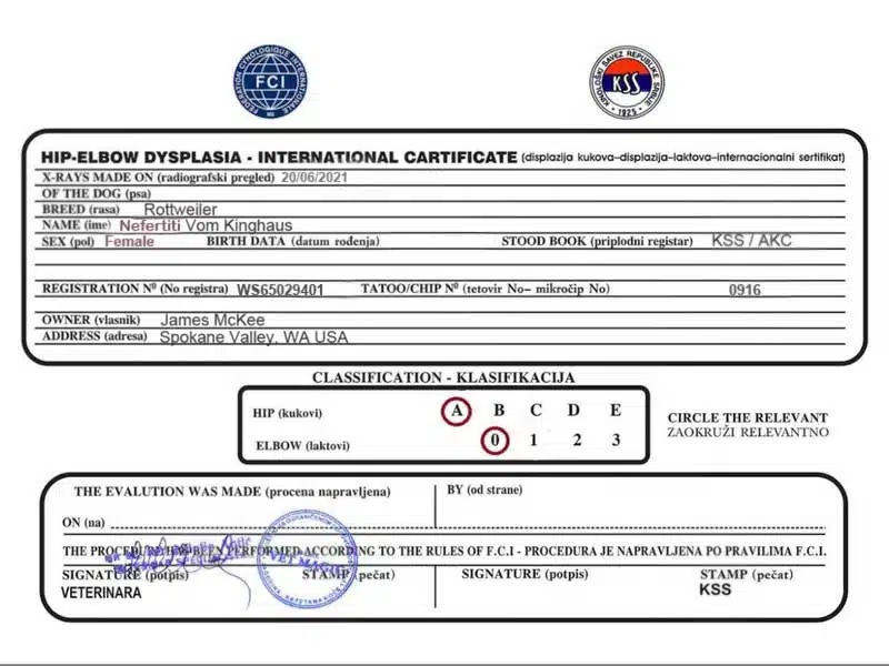 Nefertiti Vom Kinghaus Hips and Elbows Rating