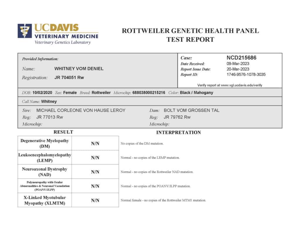 Whitney Rottweiler Full Panel Testing