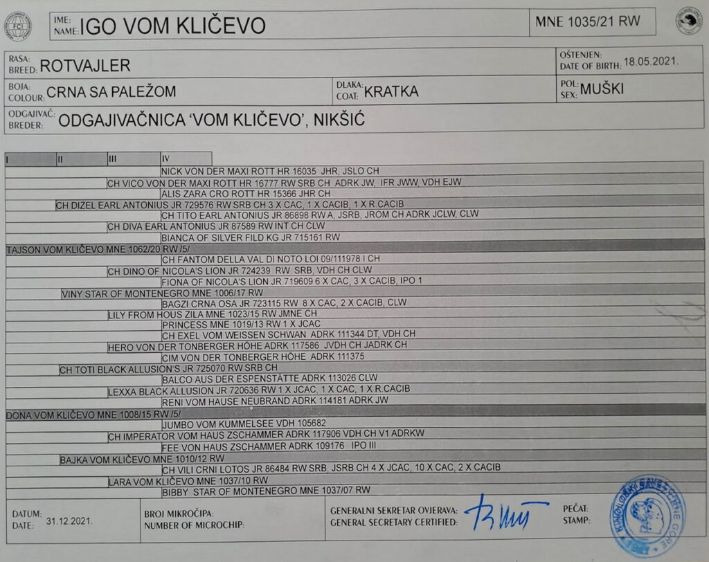 Igo Vom Klicevo Pedigree