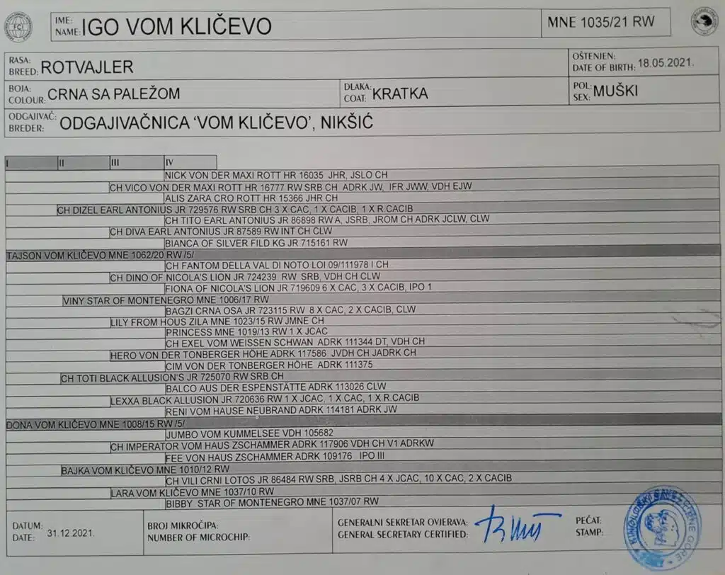 Igo Vom Klicevo Pedigree