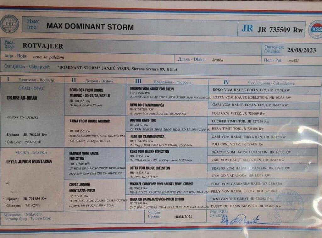 Max Dominant Storm Rottweiler Pedigree