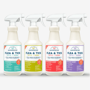 Flea & Tick