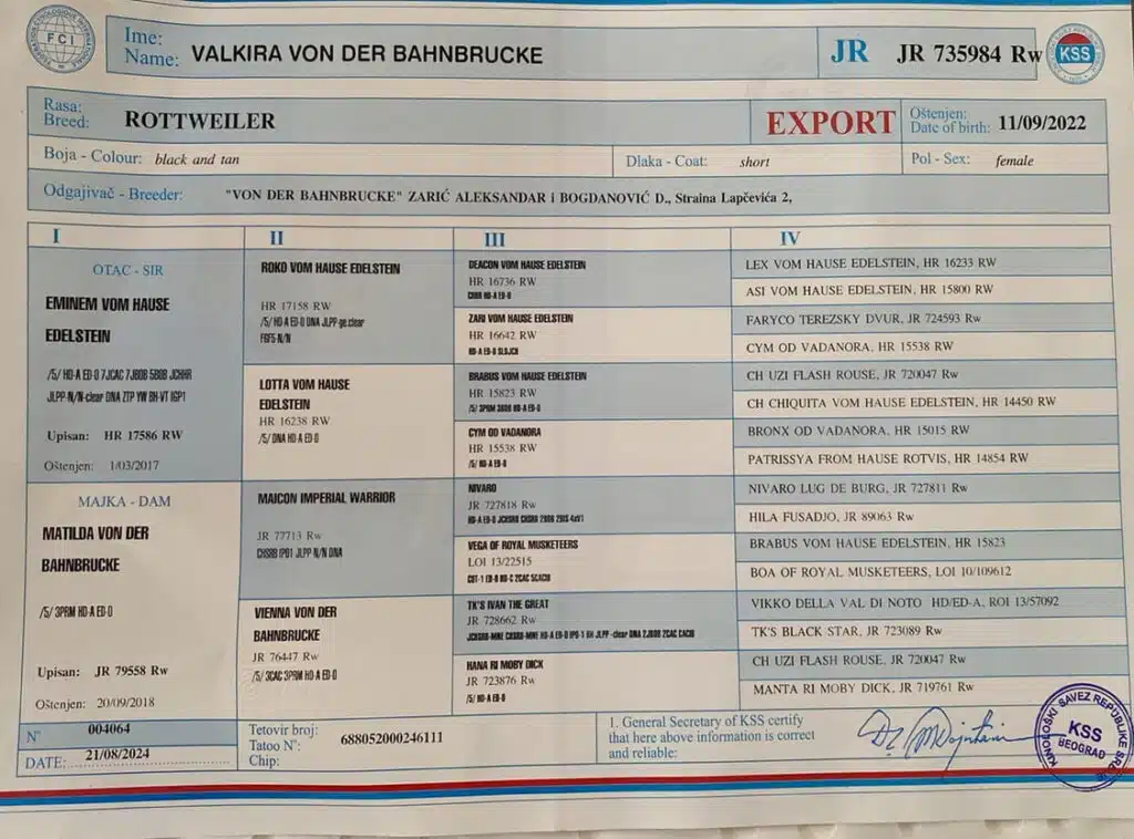Valkira Von Der Bahnbrucke Pedigree