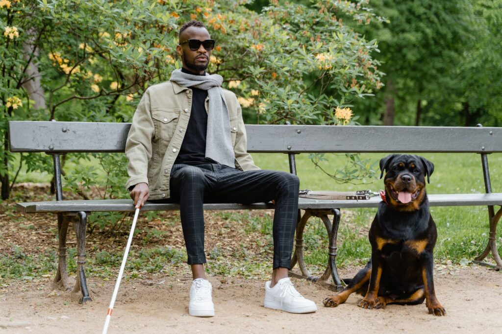A blind man sitting on a park bench with his assistive dog and walking stick.