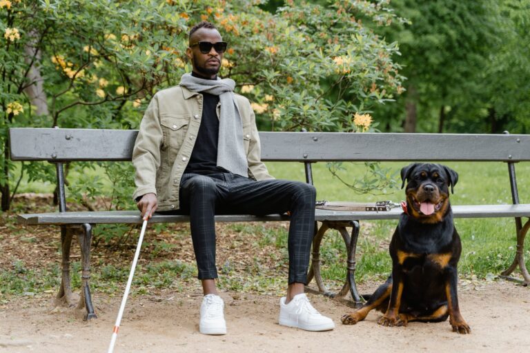 A blind man sitting on a park bench with his assistive dog and walking stick.